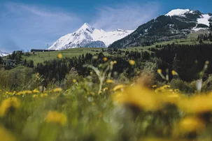 Gletscherfrühling © Kitzsteinhorn/Stefanie Oberhauser